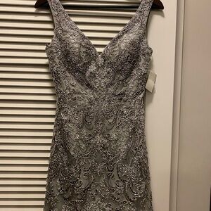Elegant Silver Embellished Dress NWT